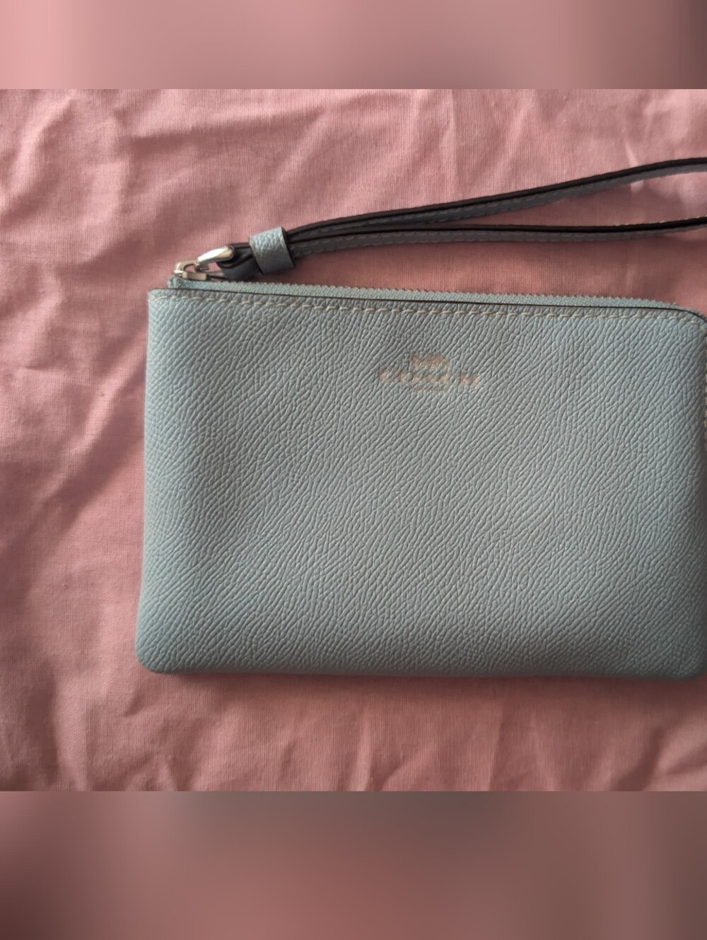 Light Blue Wristlet Clutch